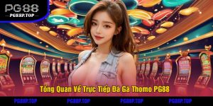 Tổng Quan Về Trực Tiếp Đá Gà Thomo PG88